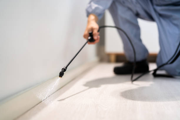 Pest Control Cost in Richmond West, FL