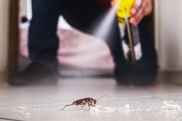 Best Pest Removal Services  in Richmond West, FL