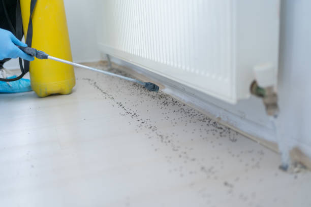 Best Pest Control for Businesses  in Richmond West, FL